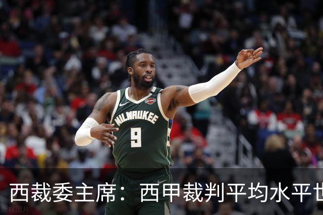 西裁委主席：西甲裁判平均水平世界最佳，误判难免